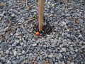 Acti_2009_02_21_011