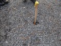 Acti_2009_02_21_016