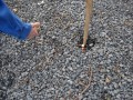 Acti_2009_02_21_017