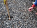 Acti_2009_02_21_018