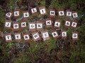 Acti_2010_02_06_24