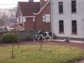 Acti_2009_02_21_060