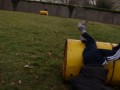 Acti_2009_02_21_067