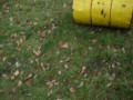 Acti_2009_02_21_073