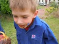 Acti_2011_06_11_01