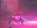 DSCN1541