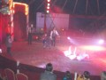 DSCN1550