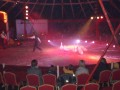 DSCN1555