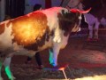 DSCN1626