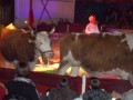 DSCN1629
