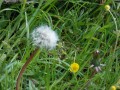 DSCN2443