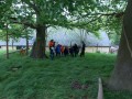 DSCN2454