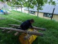 DSCN2474