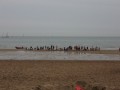 IMG_1242