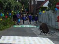 DSC00029