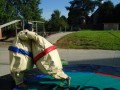 DSC00057