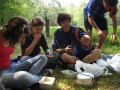 IMG_0766