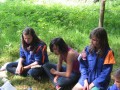 IMG_0769
