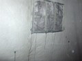 HPIM4716