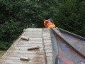 IMG_0713