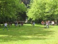 IMG_0736