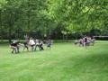 IMG_0744
