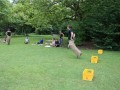 IMG_0399