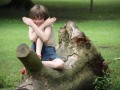 IMG_0431