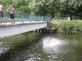 IMG_0519