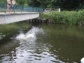 IMG_0538