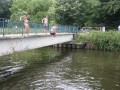 IMG_0545