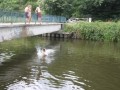 IMG_0548