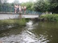 IMG_0550