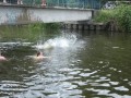 IMG_0564