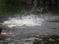 IMG_0565