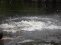 IMG_0566