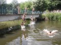 IMG_0573