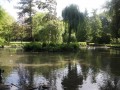 IMG_0785