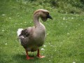 IMG_0825