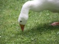 IMG_0826