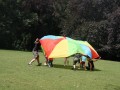 IMG_0899