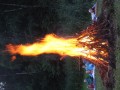 IMG_1279