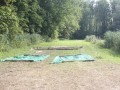 IMG_1328