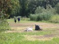 IMG_1390