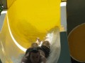 IMG_5376