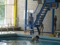 IMG_5391