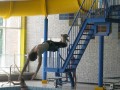 IMG_5402