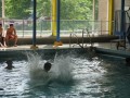 IMG_5417