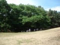 Geel_JK_005