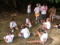 Geel_JK_011
